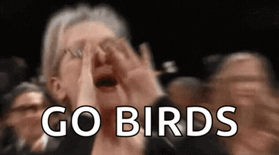 A Woman Is Screaming In A Crowd With The Words Go Birds Written In White GIF