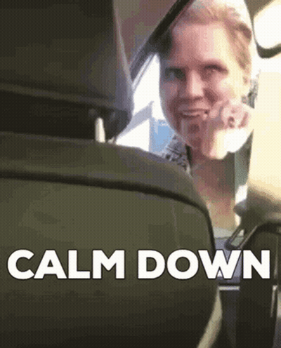 A Woman Is Sitting In The Back Seat Of A Car And Says Calm Down GIF
