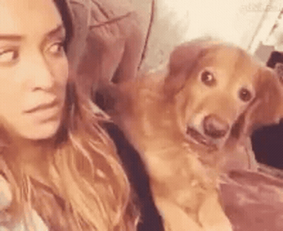 A Woman Is Sitting On A Couch With A Dog Looking At Her . GIF