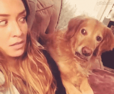 A Woman Is Sitting On A Couch With A Dog On Her Lap Looking At The Camera . GIF