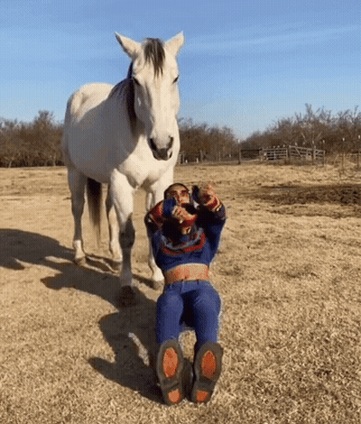 A Woman Is Sitting On The Ground In Front Of A White Horse . GIF