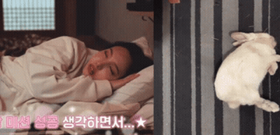 A Woman Is Sleeping On A Bed Next To A Rabbit GIF