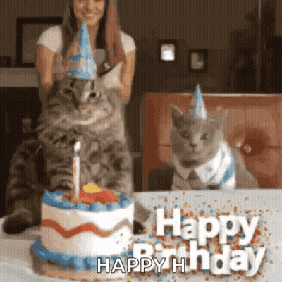 A Woman Is Standing Behind Two Cats Wearing Party Hats And A Birthday Cake . GIF
