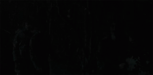 A Woman Is Standing In A Dark Forest With Trees In The Background GIF