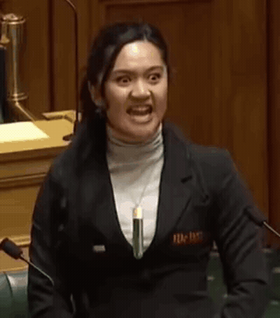 A Woman Is Standing In A Parliament Holding A Piece Of Paper And Screaming . GIF