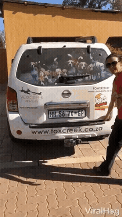A Woman Is Standing In Front Of A White Nissan Van With Fox Creek Hounds On The Back GIF
