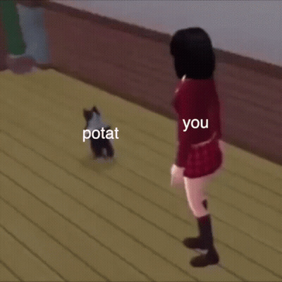 A Woman Is Standing Next To A Cat That Says Potat On It GIF