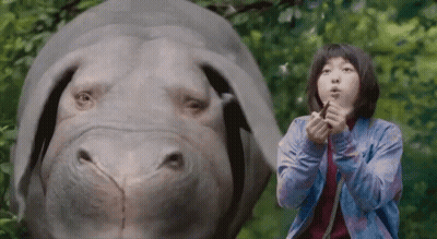 A Woman Is Standing Next To A Rhino And Blowing A Whistle . GIF