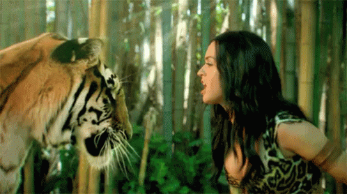 A Woman Is Standing Next To A Tiger In A Forest . GIF