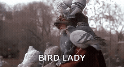 A Woman Is Surrounded By Pigeons And The Words `` Bird Lady '' Are Written Above Her . GIF