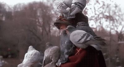 A Woman Is Surrounded By Pigeons While Wearing A Hat . GIF