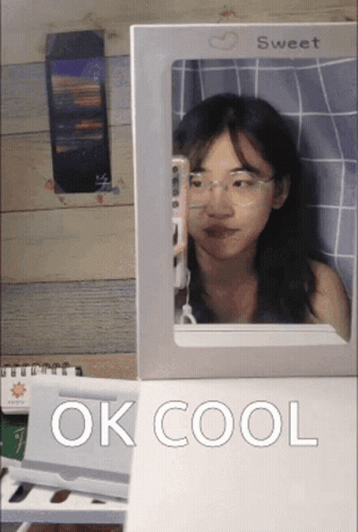 A Woman Is Taking A Picture Of Herself In A Mirror And The Words Ok Cool Are Below Her GIF
