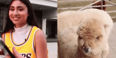 A Woman Is Talking Into A Microphone Next To A Sheep . GIF