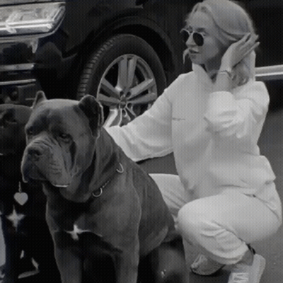 A Woman Kneeling Down Next To Two Dogs One Of Which Has A Tag On It GIF