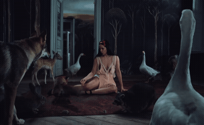 A Woman Laying On The Floor Surrounded By Dogs And Geese GIF