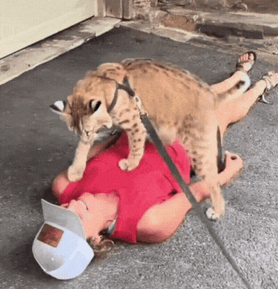 A Woman Laying On The Ground With A Cat On Her Head GIF