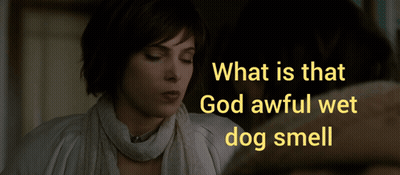 A Woman Looking At Herself In A Mirror With The Words What Is That God Awful Wet Dog Smell GIF