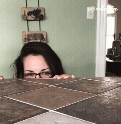 A Woman Peeking Over A Tiled Counter Top With The Petcollective Written On The Bottom Right GIF
