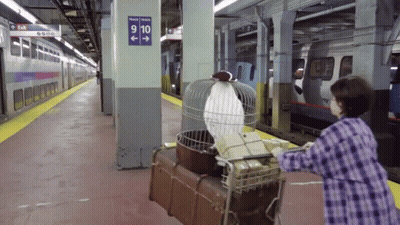 A Woman Pushes A Cart With A Bird In A Cage In Front Of A Sign That Says 9 10 GIF