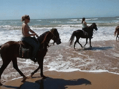 A Woman Riding A Horse On The Beach GIF