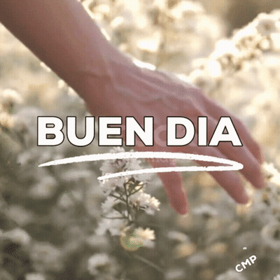 A Woman 'S Hand Is Touching A Flower With The Words Bueno Dia Written Above It GIF