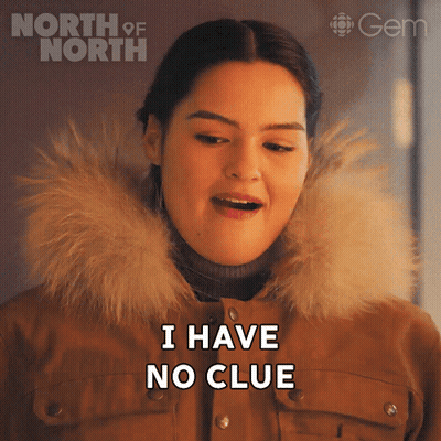 A Woman Says I Have No Clue In Front Of A North Of North Logo GIF