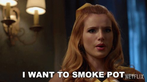 A Woman Says " I Want To Smoke Pot " In Front Of A Netflix Logo GIF