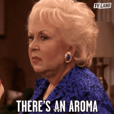 A Woman Says There 'S An Aroma In A Tv Land Ad GIF