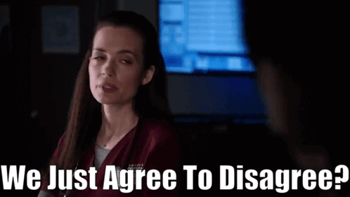 A Woman Says We Just Agree To Disagree In Front Of A Computer Monitor GIF