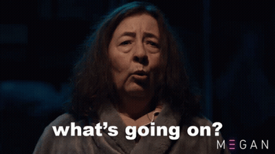 A Woman Says What 'S Going On Megan GIF