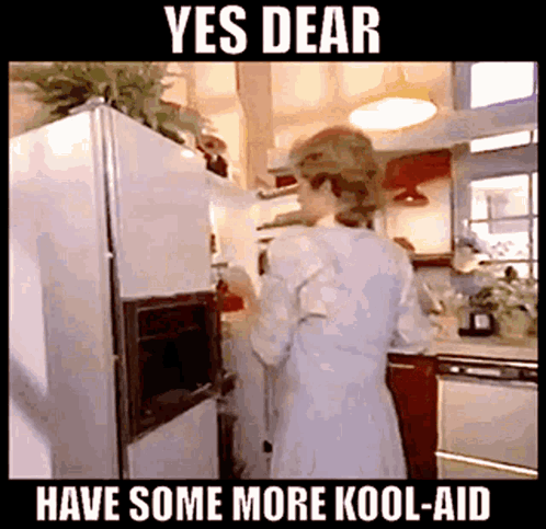 A Woman Standing In Front Of A Refrigerator With The Words Yes Dear Have Some More Kool Aid Written Below Her GIF