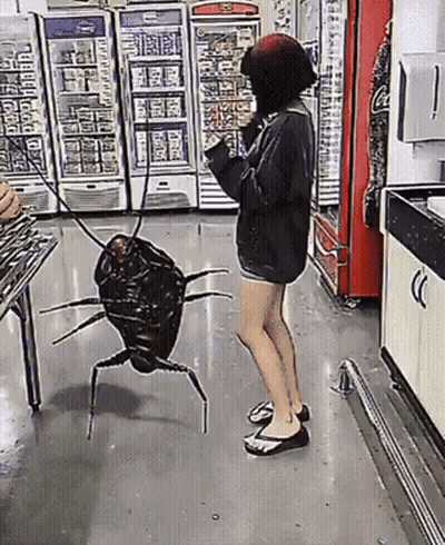 A Woman Standing Next To A Cockroach On A Leash GIF