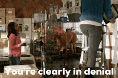 A Woman Standing On A Ladder Next To A Dog In A Cage With The Words You 'Re Clearly In Denial GIF