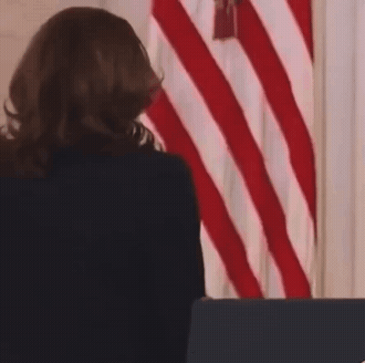 A Woman Stands At A Podium In Front Of A Flag GIF
