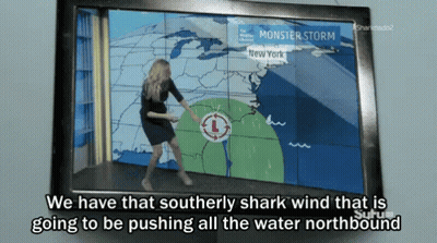 A Woman Stands In Front Of A Screen That Says Monster Storm On It GIF