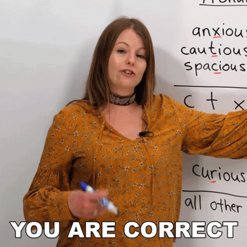 A Woman Stands In Front Of A White Board With The Words You Are Correct On The Bottom GIF