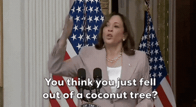 A Woman Stands In Front Of Microphones And Says " You Think You Just Fell Out Of A Coconut Tree ? " GIF