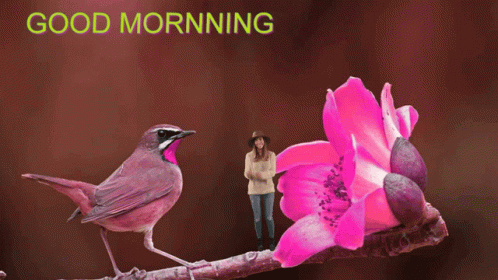 A Woman Stands Next To A Pink Flower And A Bird With The Words Good Morning Written Above It GIF