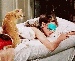 A Woman Wearing A Blue Eye Mask Is Sleeping In A Bed With A Cat GIF