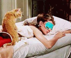 A Woman Wearing A Blue Eye Mask Is Sleeping In Bed With A Cat GIF