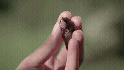 A Woman Wearing A Hat Is Holding Another Woman 'S Hand . GIF