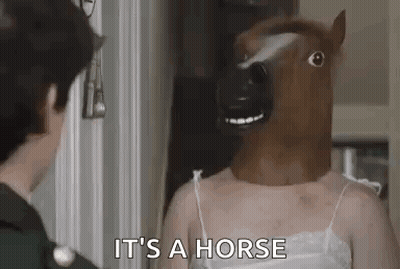 A Woman Wearing A Horse Mask Is Standing In Front Of A Mirror . GIF