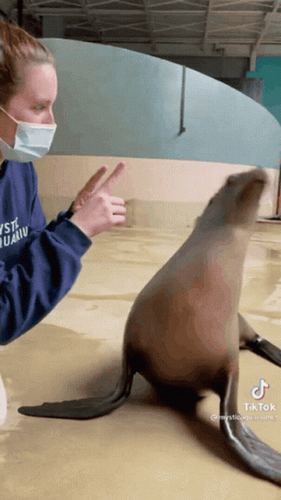 A Woman Wearing A Mask Is Standing Next To A Seal . GIF