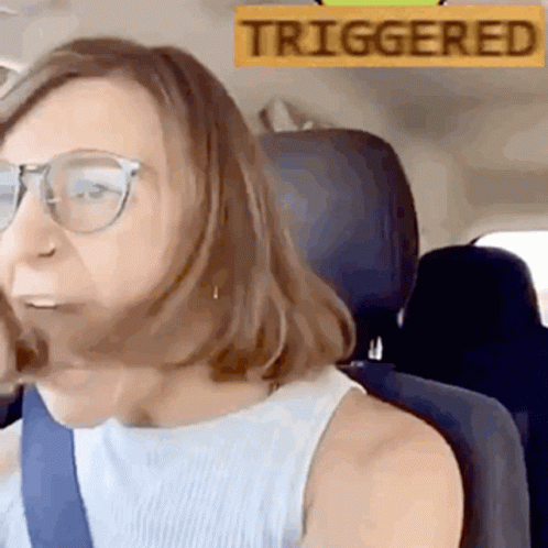 A Woman Wearing Glasses Is Sitting In A Car With A Yellow Sign That Says Triggered GIF