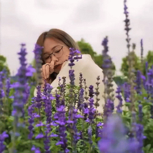 A Woman Wearing Glasses Is Standing In A Field Of Lavender Flowers GIF