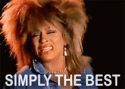 A Woman With A Big Hairdo Is Singing A Song And The Words `` Simply The Best '' Are Written Below Her . GIF