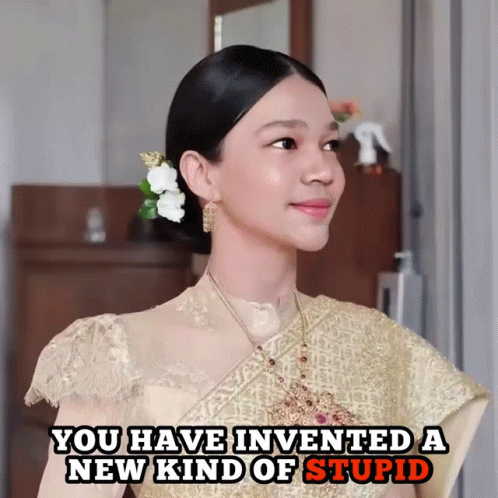 A Woman With A Flower In Her Hair And The Words " You Have Invented A New Kind Of Stupid " GIF