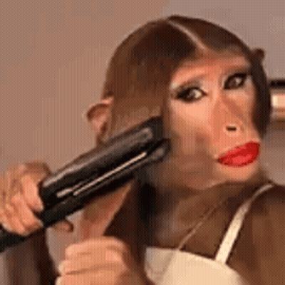 A Woman With A Monkey Face Is Holding A Hair Straightener . GIF