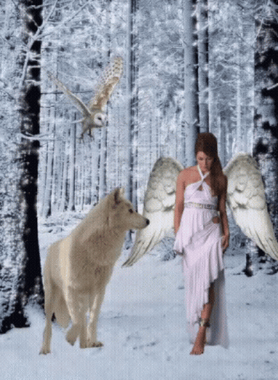 A Woman With Angel Wings Stands In The Snow With A Wolf GIF