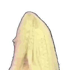 A Woman With Long Blonde Hair And A Blue Shirt Is Making A Face . Sticker